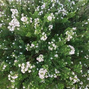 Meet your Posher, Cathy